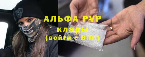 стаф Абаза