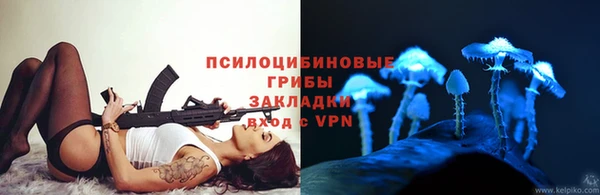 сатива Алзамай