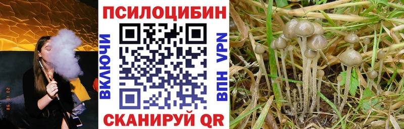 MEGA ссылки  Сорочинск  Галлюциногенные грибы MAGIC MUSHROOMS 