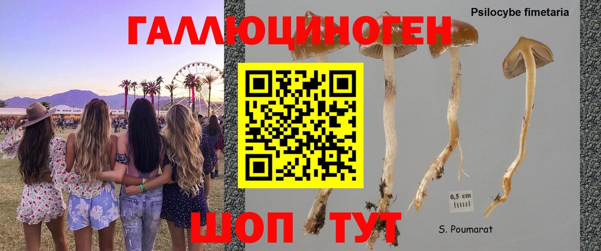 Псилоцибиновые грибы мицелий  Вход с VPN  купить  цена  Сорочинск 